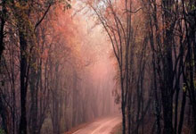 [图]詹姆斯东契奇双双休战 遭遇四连败.