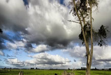 官宣续约铁卫至2026 西媒:标志性事件!巴萨挺过来了.