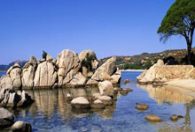 东升国际官网：[CBA]常规赛12月20日：辽宁VS北京.